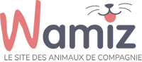 Wamiz - le site des animaux de compagnie (nouvelle fenêtre)