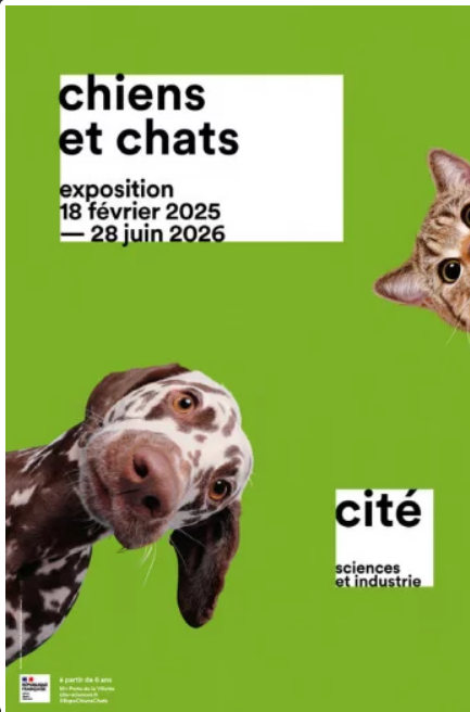 Affiche de l'exposition Chiens et chats qui représentent un chien et un chat qui regardent l'objectif.